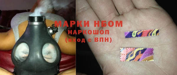 гашик Алексеевка
