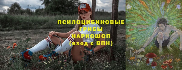 гашик Алексеевка