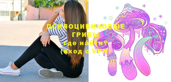 винт Алексин