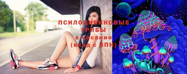 винт Алексин