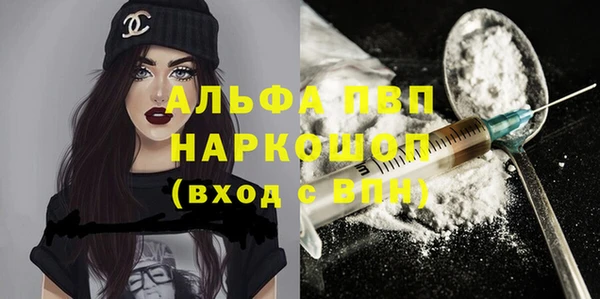 гашик Алексеевка