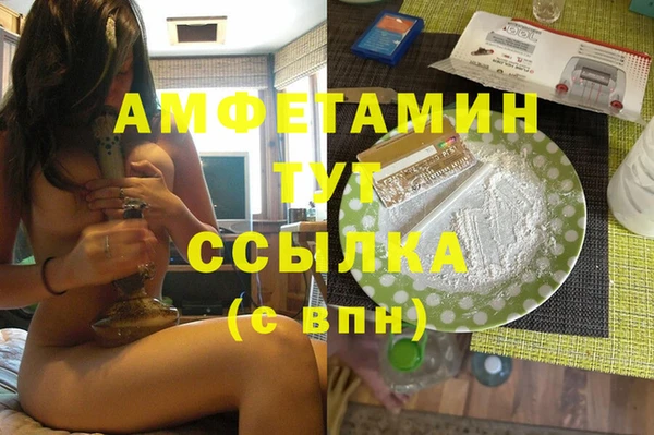 гашик Алексеевка