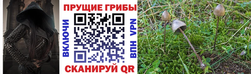 Галлюциногенные грибы MAGIC MUSHROOMS  Петропавловск-Камчатский 